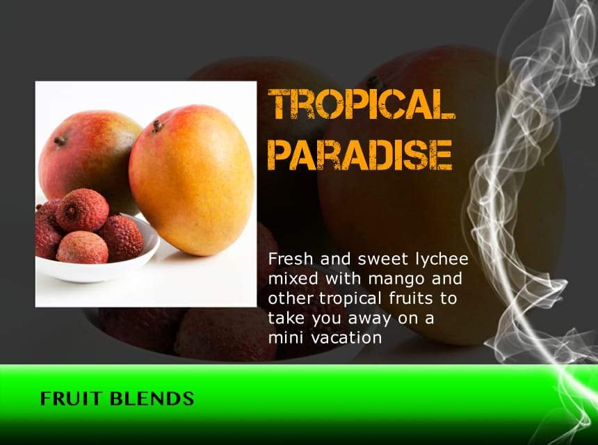 Tropical Paradise